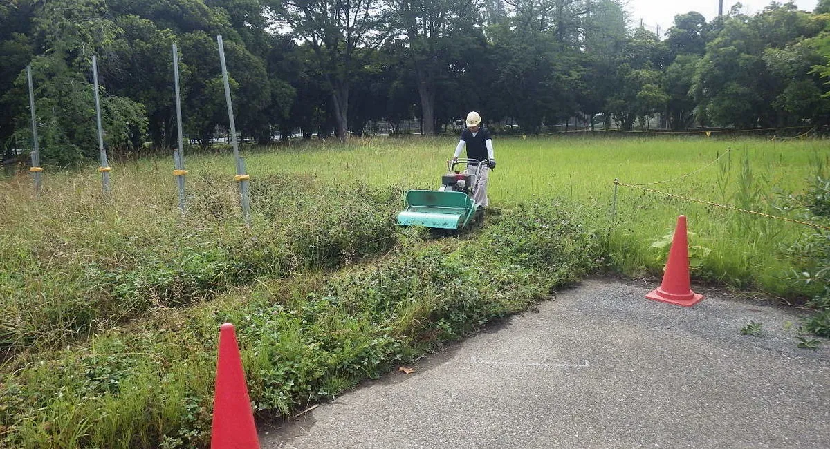 除草作業中