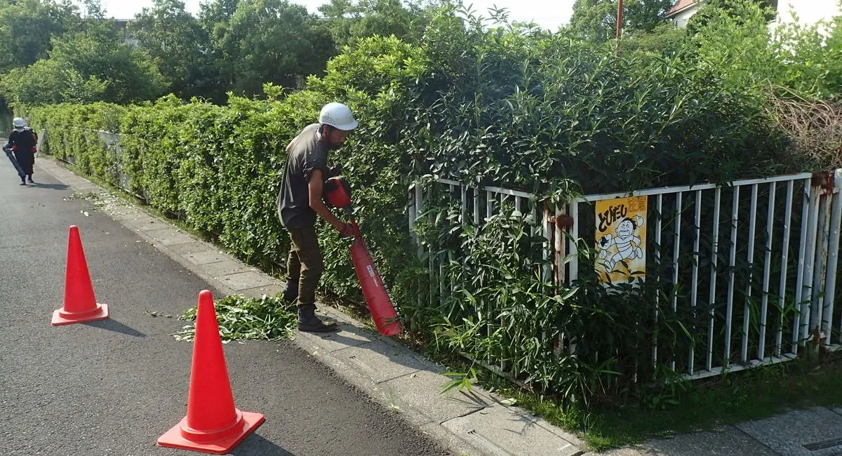 埼玉県で樹木管理は日本植物園へご用命ください。