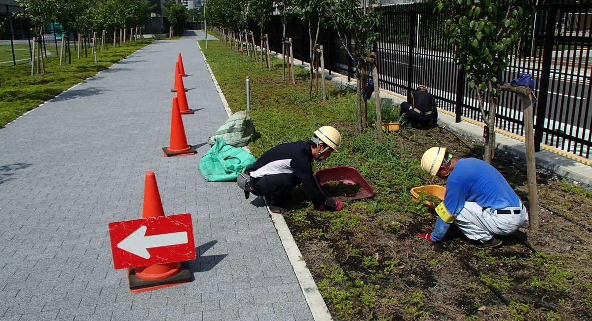 日本植物園（株）の人力除草（草むしり）を手軽で簡単に終わらせるコツ！