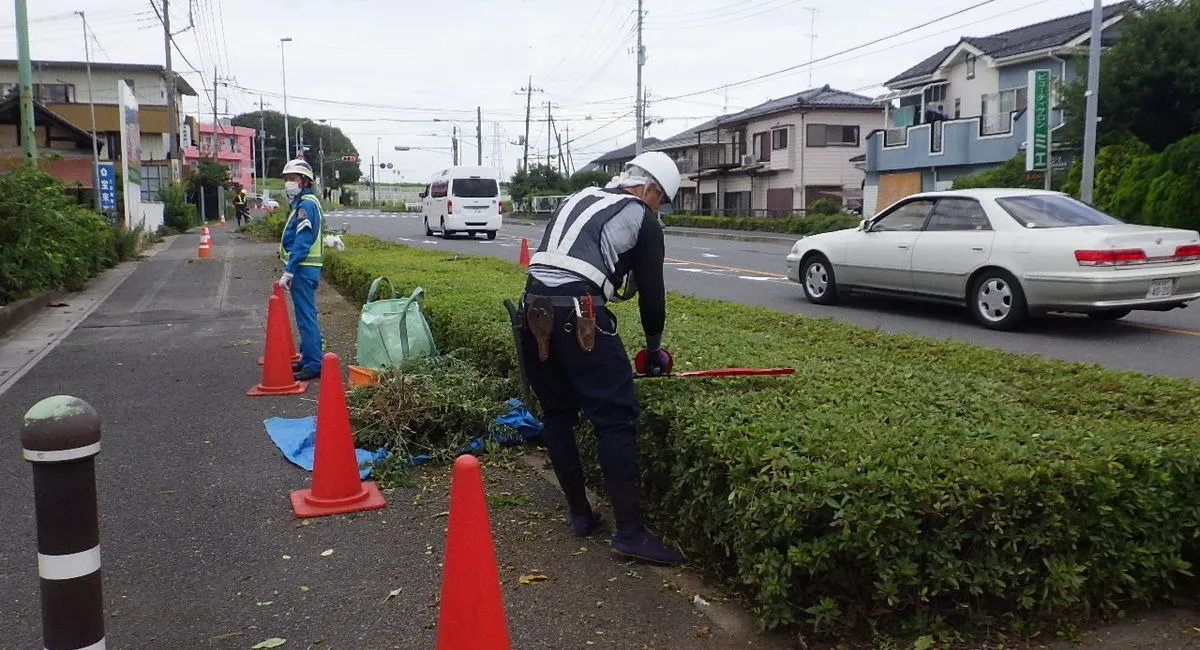 日本植物園株式会社の街路樹管理