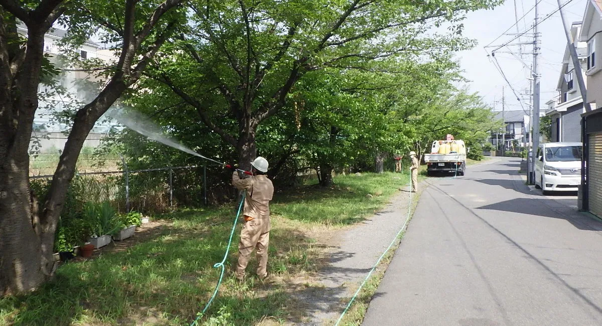 日本植物園（株）の庭木の消毒・害虫駆除。