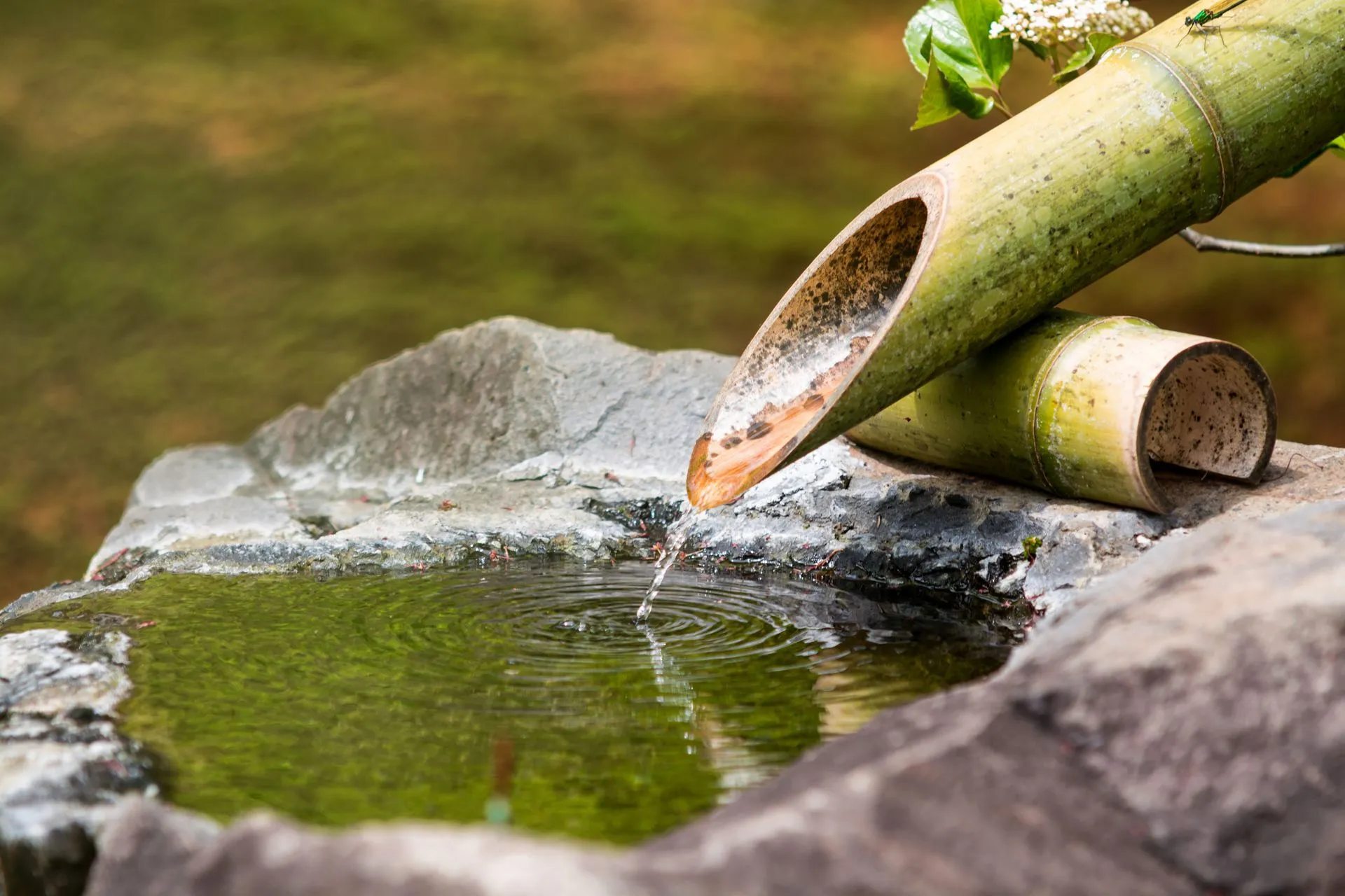 日本植物園株式会社