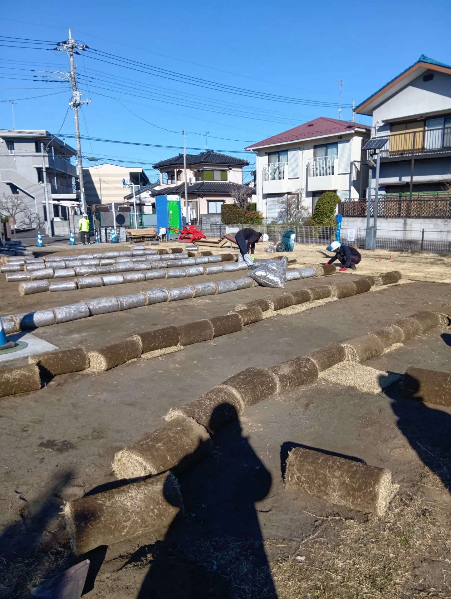 さいたま市　愛宕ふれあい広場　芝張