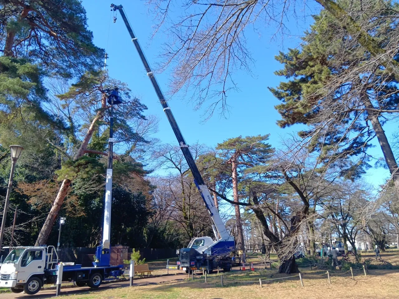 R7年度　大宮公園樹林地管理業務委託