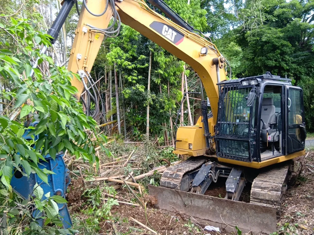 さいたま市岩槻区　若葉幼稚園　敷地伐採作業