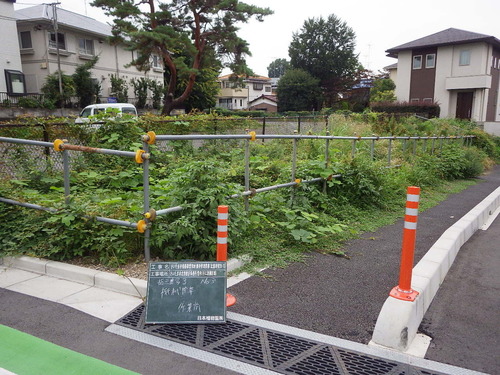 さいたま市街路事業用地維持管理業務