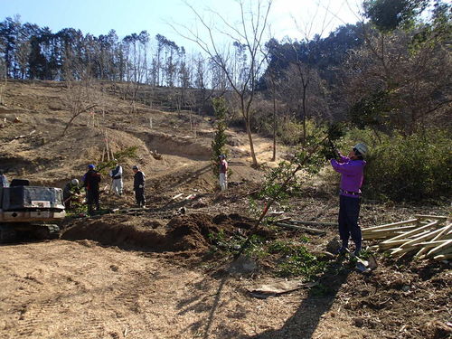 埼玉県秩父郡横瀬町花咲山植栽工事