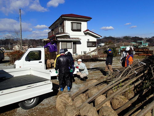 埼玉県秩父郡横瀬町花咲山植栽工事