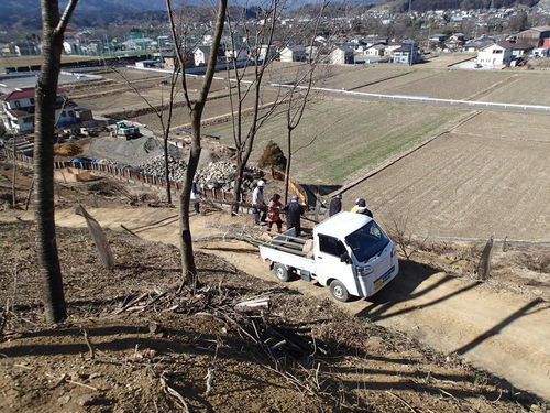 埼玉県秩父郡横瀬町花咲山植栽工事