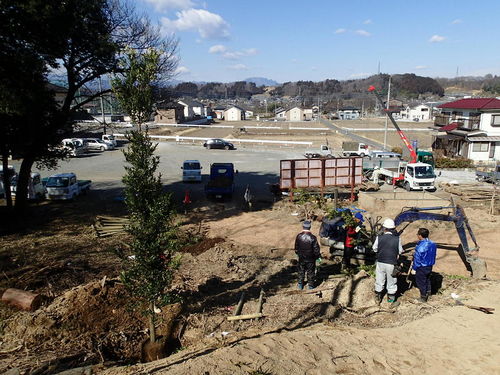 埼玉県秩父郡横瀬町花咲山植栽工事