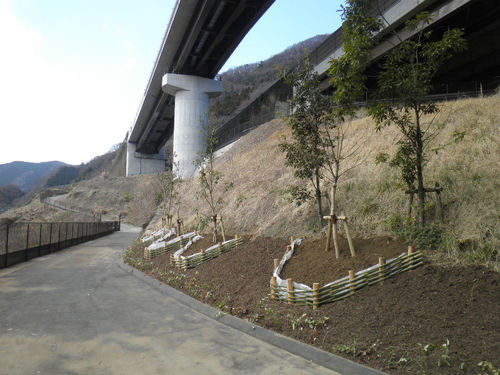 首都圏中央連絡自動車道　裏高尾地区他造園工事