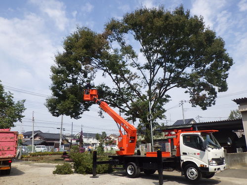 2018年8月23日落雷による倒木撤去工事