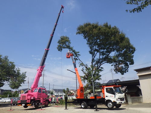 2018年8月23日落雷による倒木撤去工事