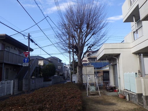 平成30年度　県営大宮植竹団地ほか剪定工事が完成致しました。