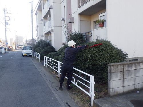 平成30年度　県営大宮植竹団地ほか剪定工事が完成致しました。