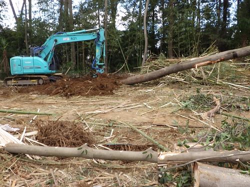 さいたま市　指扇土地区画整理事業　二号街区公園予定地外整地工事（伐採・伐根・伐竹）