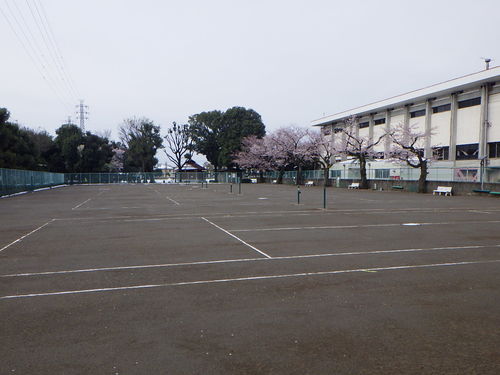 上尾運動公園テニスコート改修工事