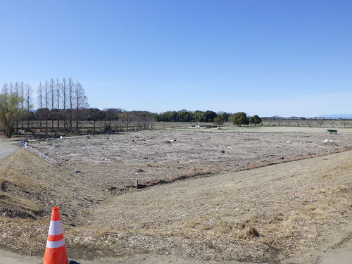 さいたま市 宝来運動公園野球場外災害復旧工事