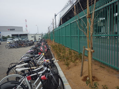 さいたま市　吉野原自転車保管所移転工事（植栽工事）