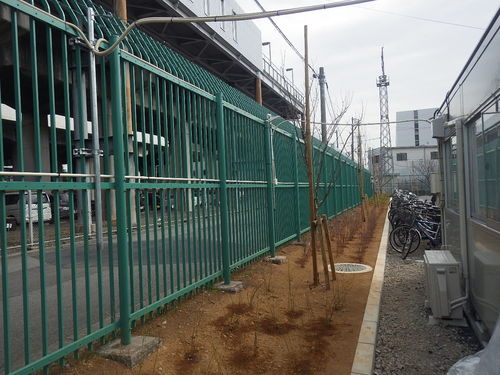 さいたま市　吉野原自転車保管所移転工事（植栽工事）