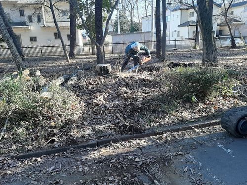 埼玉県　上尾運動公園伐採・剪定工事